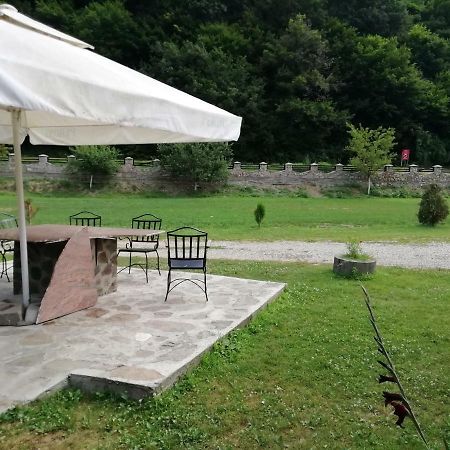 Pensiunea La Busu -Bigar Bozovici Extérieur photo