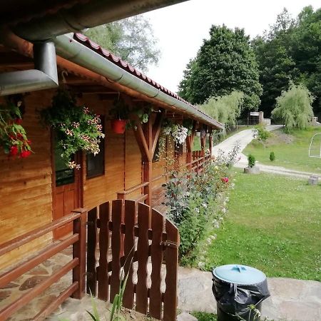 Pensiunea La Busu -Bigar Bozovici Extérieur photo