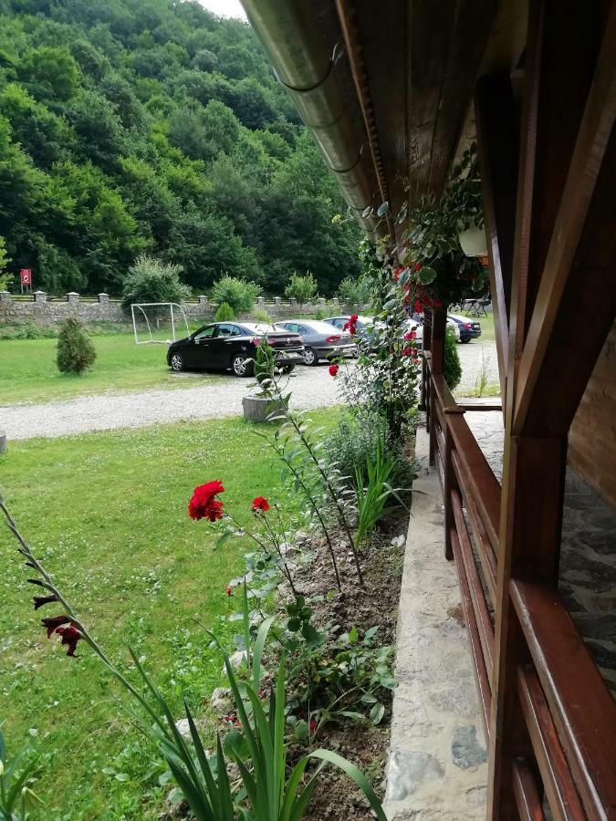 Pensiunea La Busu -Bigar Bozovici Extérieur photo